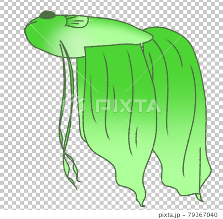 Floating and resting solid (green) Floating and resting solid (green) 79167040