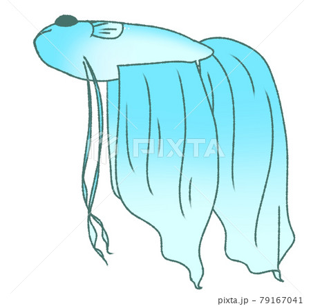 浮かんで休むベタ（水色） 79167041