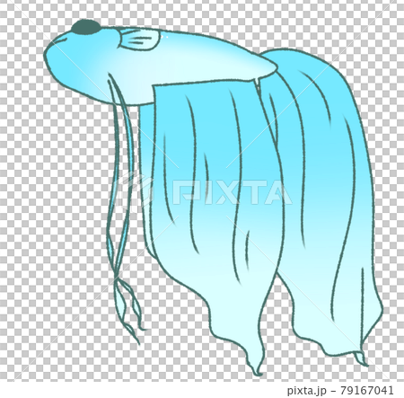 浮かんで休むベタ（水色） 79167041