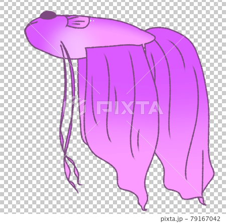 Floating and resting solid (purple) 79167042