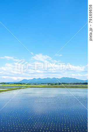 水田 水田 79169656