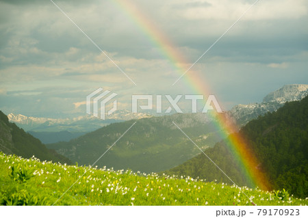 green meadow in Lukavica Plateau in the spring, Montenegro green meadow in Lukavica Plateau in the spring, Montenegro 79170923