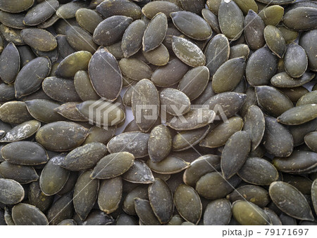 marrow seed in studio marrow seed in studio 79171697