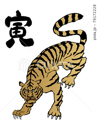 和柄の虎のイラスト 年賀状素材用 干支のクリップアート のイラスト素材