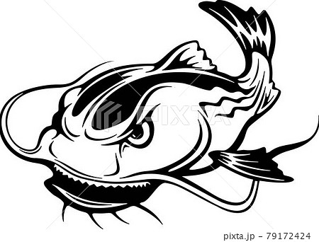 catfish, monster fish - Stylized fish, Fishing - Stock Illustration  [79172424] - PIXTA
