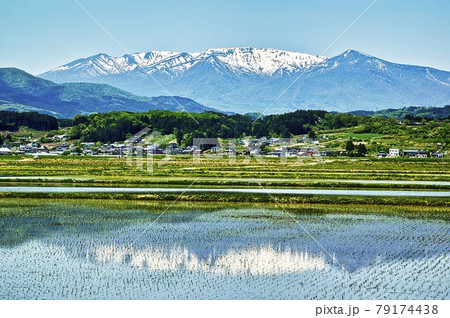 田植えが済んだ水田と蔵王連峰 田植えが済んだ水田と蔵王連峰 79174438