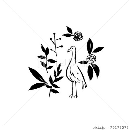 フラミンゴ 79175075