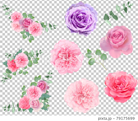 粉紅色玫瑰花 葉 花束的矢量圖解素材 色彩柔和 插圖素材 圖庫