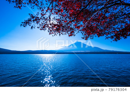 秋　旅行　山中湖　富士山　秋のコンテンツ　遠足　旅行 79176304