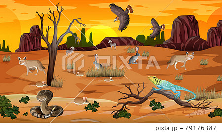 Desert forest landscape at sunset time scene with wild animals Desert forest landscape at sunset time scene with wild animals 79176387