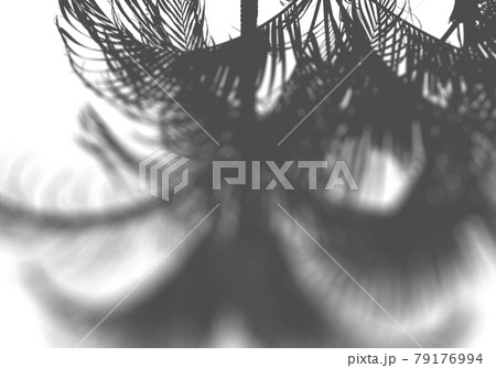 椰子の木のシルエット、風に揺らぐイメージ 椰子の木のシルエット、風に揺らぐイメージ 79176994
