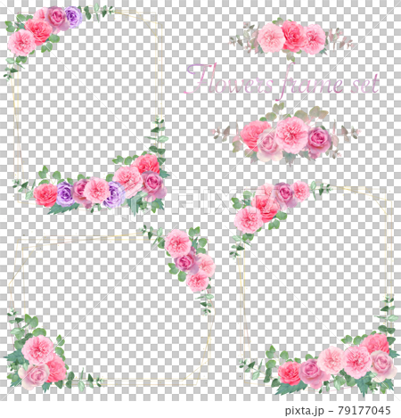 美しい色使いの薔薇の花と植物の白バックフレームイラストセットベクター素材 79177045