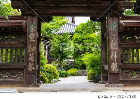 高幡不動尊金剛寺　大日堂と山門 79177130