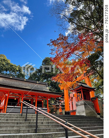 京都の観光地伏見稲荷神社の写真素材