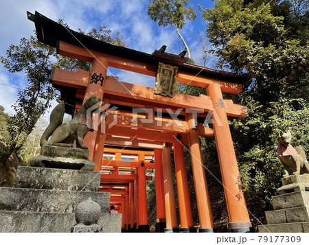 伏見稲荷神社の鳥居 伏見稲荷神社の鳥居 79177309
