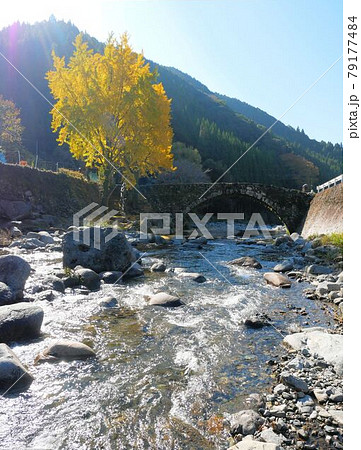 河俣川と笠松橋 (熊本県八代市) 河俣川と笠松橋 (熊本県八代市) 79177484