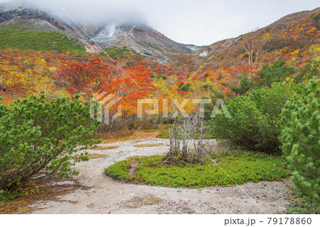 秋の茶臼岳・姥ヶ平の風景【栃木県・那須塩原市】 79178860