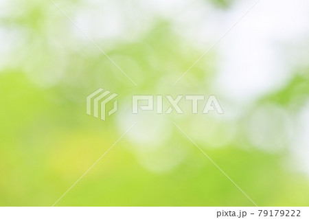 背景素材、新緑、木々の緑の葉のグリーンのぼかし、ボケ、玉ボケ、ふんわり、グラデーション。 79179222