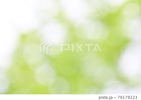 背景素材、新緑、木々の緑の葉のグリーンのぼかし、ボケ、玉ボケ、ふんわり、グラデーション。 79179223