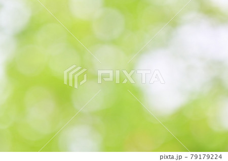 背景素材、新緑、木々の緑の葉のグリーンのぼかし、ボケ、玉ボケ、ふんわり、グラデーション。 79179224