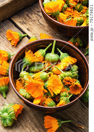 Marigold flowers or calendula,natural medicine Marigold flowers or calendula,natural medicine 79179821