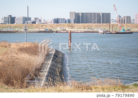 荒川土手／埼玉県川口市領家 79179890