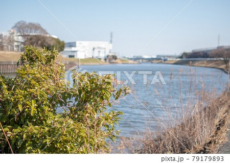 新芝川／東京都足立区鹿浜 79179893