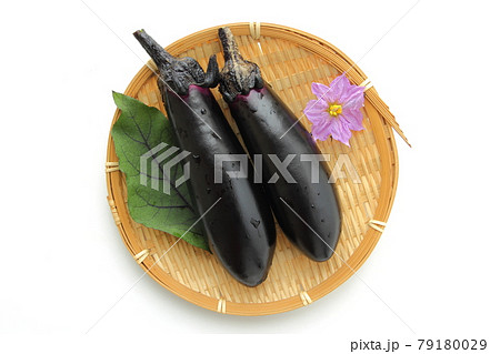 もぎたての茄子 79180029