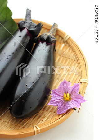 もぎたての茄子 79180030