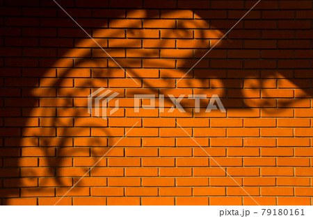 Beautiful patterned shadow on a red brick wall. 79180161