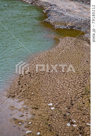 Animal tracks on the cracked ground on the banks of the Chorokh mountain river. Animal tracks on the cracked ground on the banks of the Chorokh mountain river. 79180212