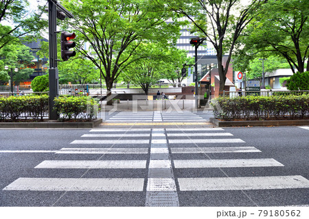 新宿高層ビルの谷間にある横断歩道 79180562