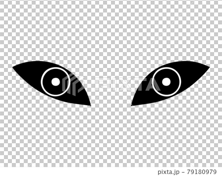目のアイコン 79180979