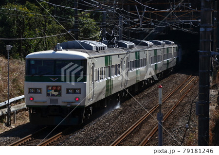 特急踊り子:185系電車(15両編成) 特急踊り子:185系電車(15両編成) 79181246