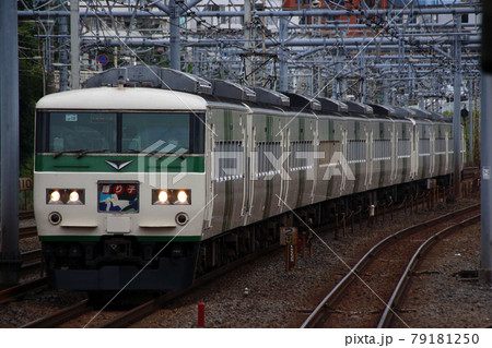 臨時特急踊り子：185系電車（12両編成）の写真素材 [79181250