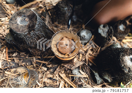 Drip coffee in the forest,pour hot water in coffee Drip coffee in the forest,pour hot water in coffee 79181757