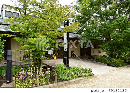 座間市　県立座間谷戸山公園のパークセンタ（管理事務所）ーと新緑 79182186