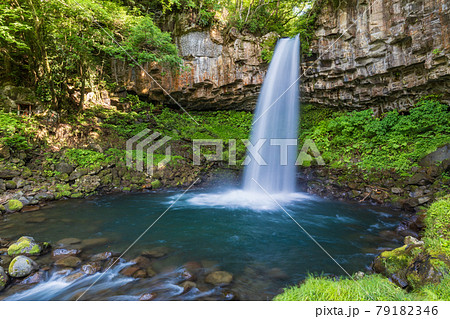 (静岡県)伊豆の萬城の滝(ばんじょうのたき) (静岡県)伊豆の萬城の滝(ばんじょうのたき) 79182346
