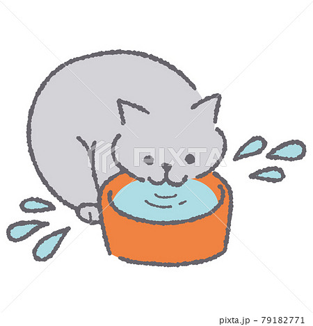 水を飲む猫のイラストのイラスト素材