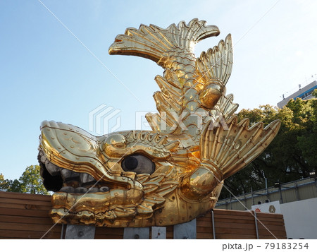 金シャチ特別展覧の風景 79183254