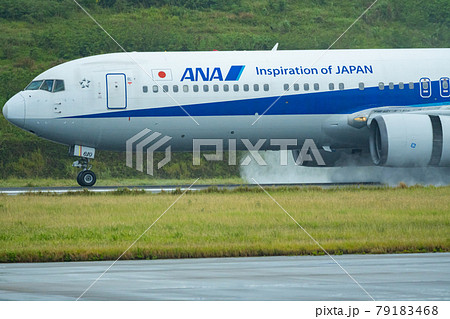 沖縄県 石垣市 石垣島 新石垣空港 離島 リゾート 島 天国 夏休み 観光 旅行 飛行機 全日空 沖縄県 石垣市 石垣島 新石垣空港 離島 リゾート 島 天国 夏休み 観光 旅行 飛行機 全日空 79183468