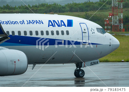 沖縄県 石垣市 石垣島 新石垣空港 離島 リゾート 島 天国 夏休み 観光 旅行 飛行機 全日空 沖縄県 石垣市 石垣島 新石垣空港 離島 リゾート 島 天国 夏休み 観光 旅行 飛行機 全日空 79183475