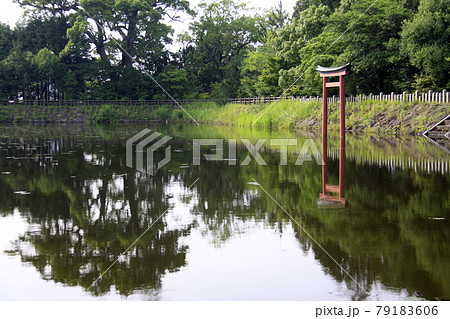 公園の池の静けさ 79183606