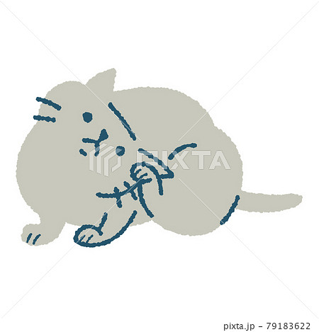 体をかく猫のイラスト 体をかく猫のイラスト 79183622