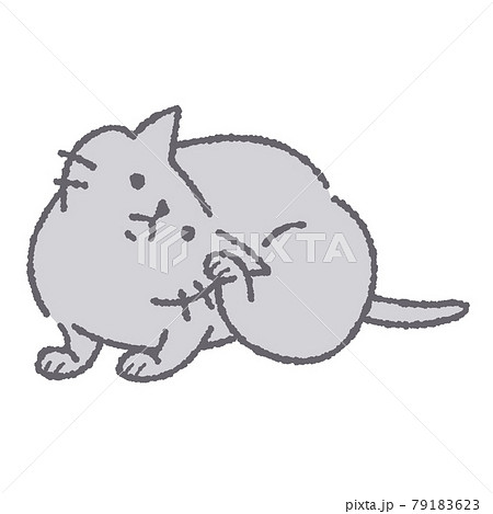 体をかく猫のイラスト 体をかく猫のイラスト 79183623