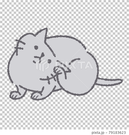体をかく猫のイラスト 体をかく猫のイラスト 79183623