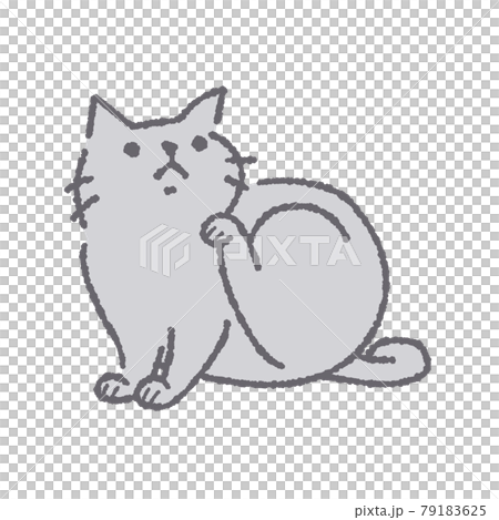 貓抓身體的插圖 79183625