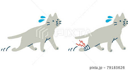 ケガをして歩く猫のイラストのイラスト素材