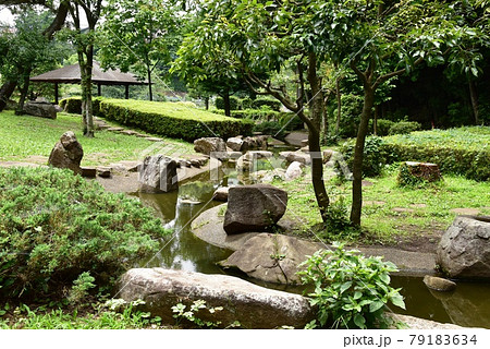 座間市　芹沢公園せせらぎコーナー水辺と新緑 79183634