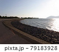 琵琶湖沿いの道 79183928